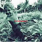 ELLEGARDEN/Salamander