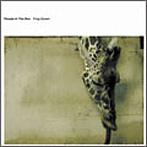 people in the box/frog queen