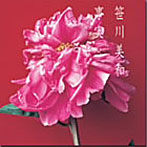 笹川美和/事実 （CCCD）