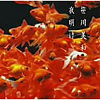 笹川美和/夜明け