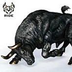 J/RIDE