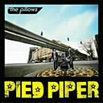 pillows/Pied Piper