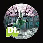 Dt./モンキーアパートパーティー中（DVD付）