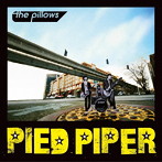 pillows/PIED PIPER（DVD付）