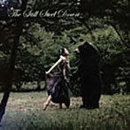 安藤裕子/The Still Steel Down