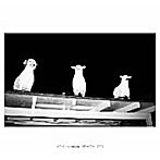 AOKI takamasa/FRACTALIZED