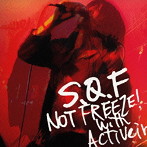 S.Q.F./NOT FREEZE！ with activein