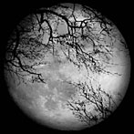 LUNA SEA/LUNA SEA（DVD付）