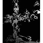 デランジェ/PANDORA [CD+DVD]＜初回限定生産盤＞