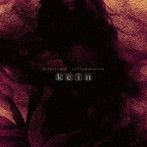 kein/delusional inflammation（通常盤）