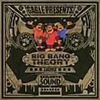 GAGLE/BIG BANG THEORY SHUFFLE