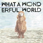 堀込泰行/What A Wonderful World