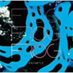 FROG/EXAMPLE