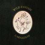 カーネーション/WILD FANTASY