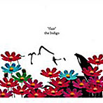 Indigo/flair（DVD付）