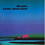 Ekremix/karmic observation
