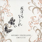 MIYAKO/EXCELLAND/おぼろながれ/かぶと虫