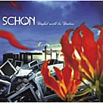 SCHON/Useful will be Useless