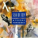 横関敦/SEA OF JOY