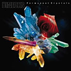 BINECKS/Permanent Crystals