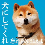忘れらんねえよ/犬にしてくれ（スペシャルプライス盤）
