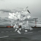 WHITE ASH/Crowds