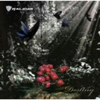 GALEYD/Destiny（DVD付）