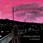 Dr.DOWNER/Goodbye， bright city