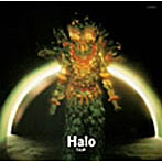 チューリップ/Halo