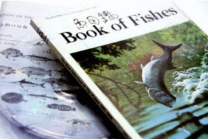 サカナクション/魚図鑑 – JPOP FLAC