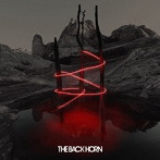 BACK HORN/孤独を繋いで（初回限定盤）（DVD付）