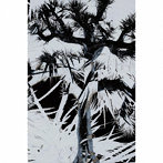 プラスティック・トゥリー/Plastic Tree（完全生産限定盤）（DVD付）