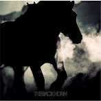 BACK HORN/暁のファンファーレ（初回限定盤）（DVD付）