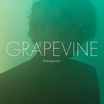GRAPEVINE/Burning tree（初回限定盤）（DVD付）