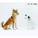 中村一義/海賊盤（初回限定盤）（DVD付）
