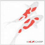 Hi‐Fi CAMP/恋