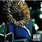 MERRY/NOnsenSe MARkeT