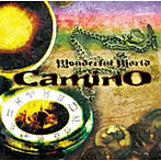 camino/Wonderful World