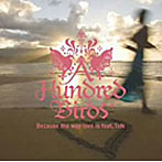 A HUNDRED BIRDS/Because The Way Love Is