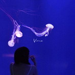 赤いくらげ/Voice
