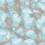 yeti let you notice/hontounokoto