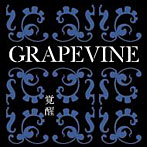 GRAPEVINE/覚醒〜10th Anniversary Special Package〜