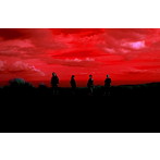 Maison book girl/SOUP（初回限定盤）（Blu-ray Disc付）