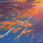BIN/Melt