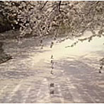 えちうら/桜道