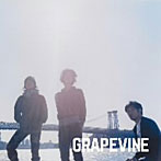 GRAPEVINE/疾走/hiatus