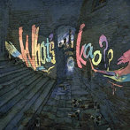 kao/What’s kao？？
