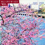 サニーデイ・サービス/東京