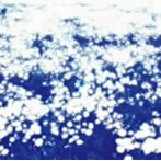 OVUM/microcosmos