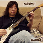 HAPPO/OPUS